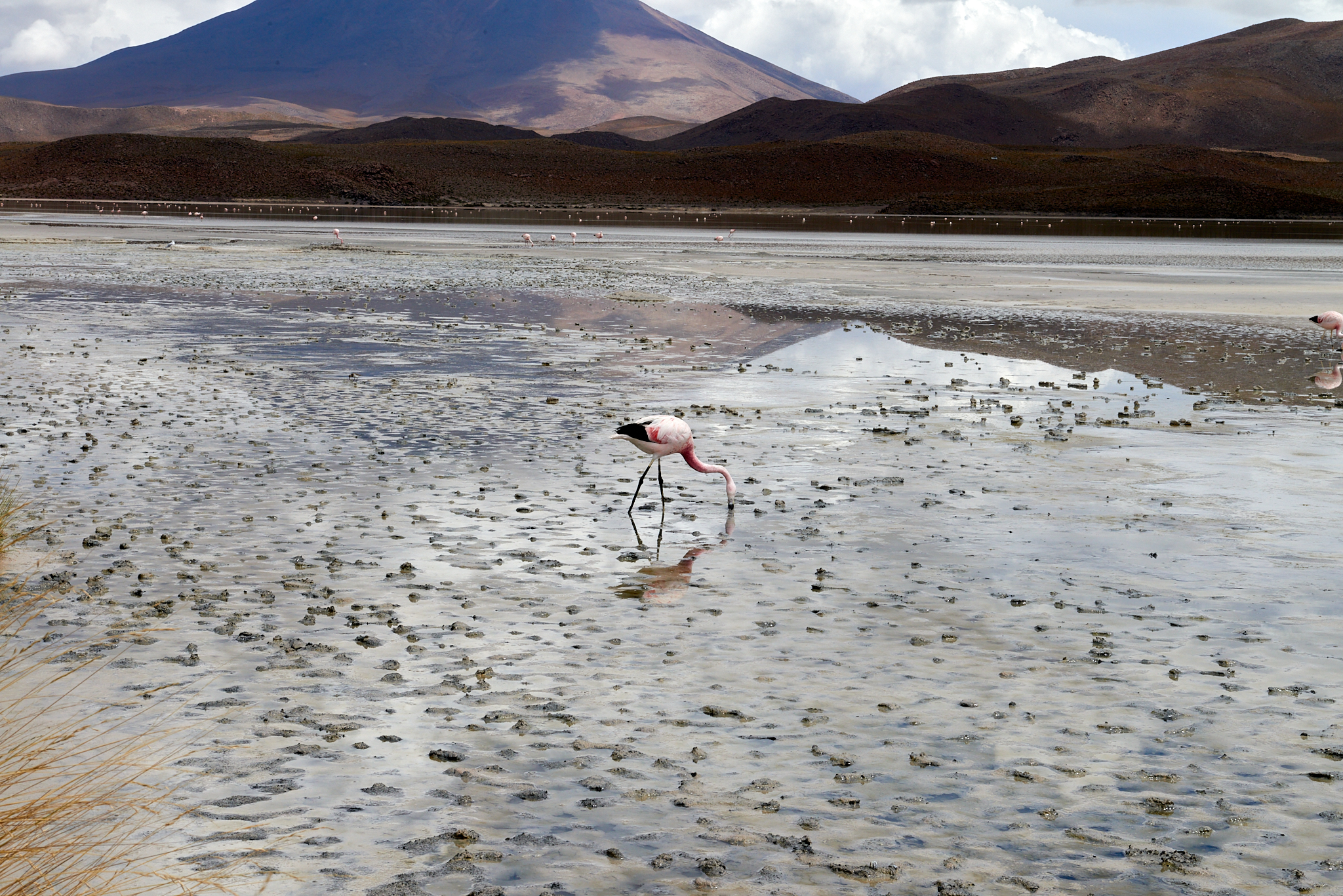 20200313 472 [볼리비아] 온다 호수